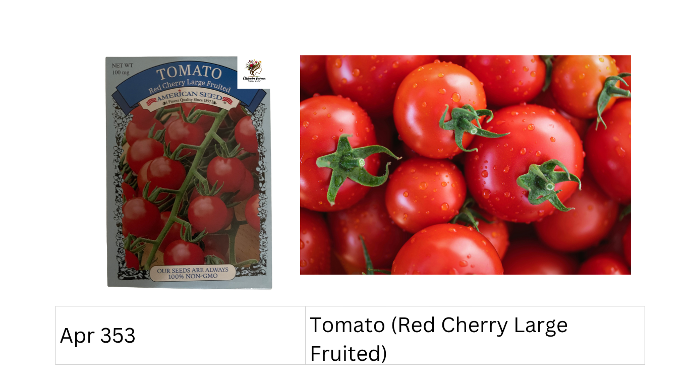 Tomato (Red Cherry Large Fruited)