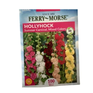 Hollyhock (Summer Carnival, MC)