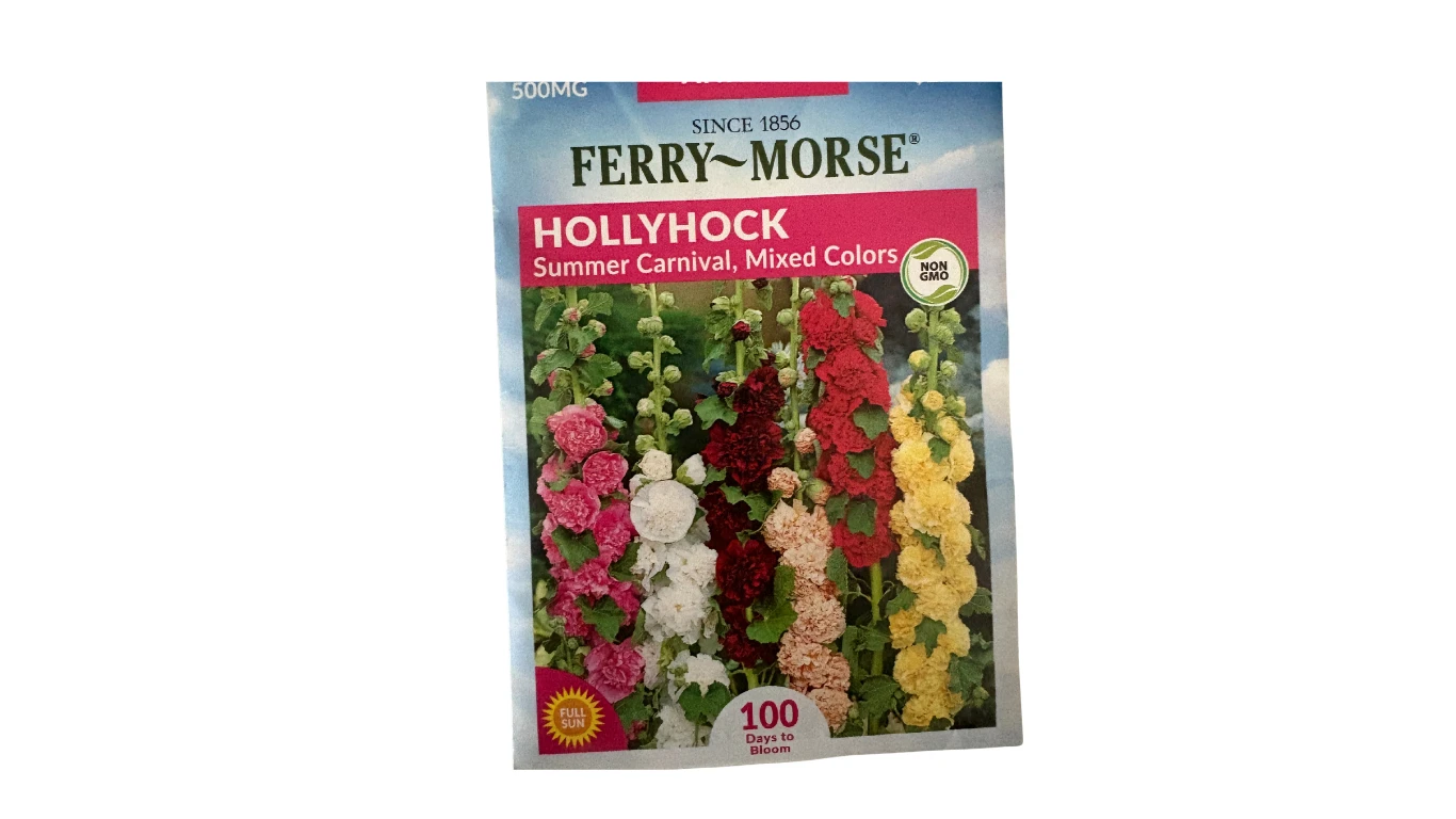 Hollyhock (Summer Carnival, MC)