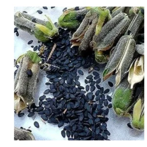 Black Sesame Seeds
