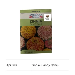 Zinnia (Candy Cane) Premium