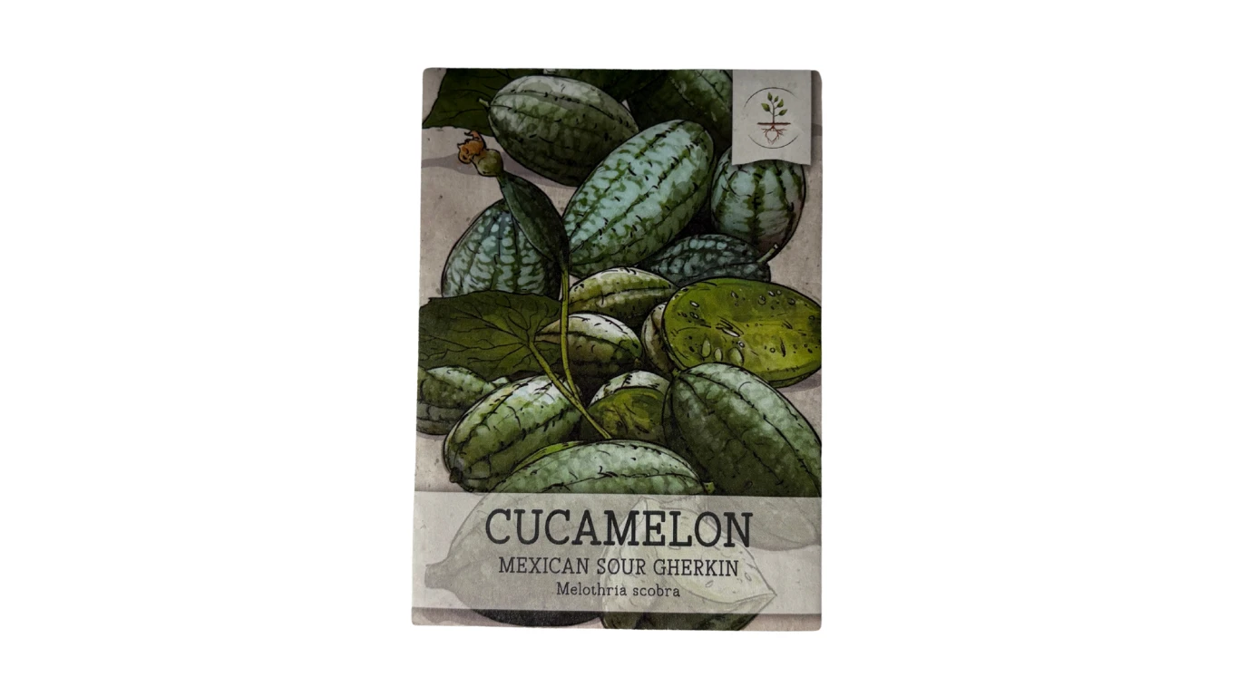 Cucamelon (Mexican Sour Gherkin)