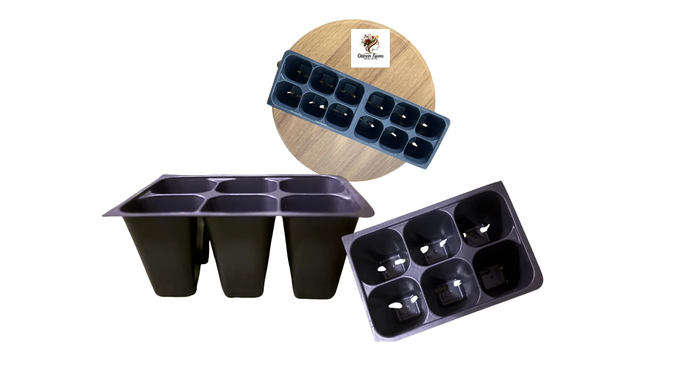 12-Cell Seed Starter Tray  (3PCS)