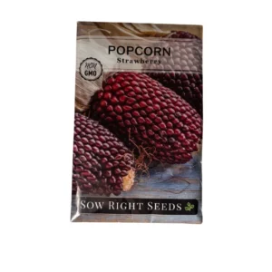Popcorn (strawberry)