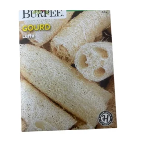 Luffa Gourd