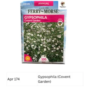 Gypsophila (Covent Garden) Ferry Morse