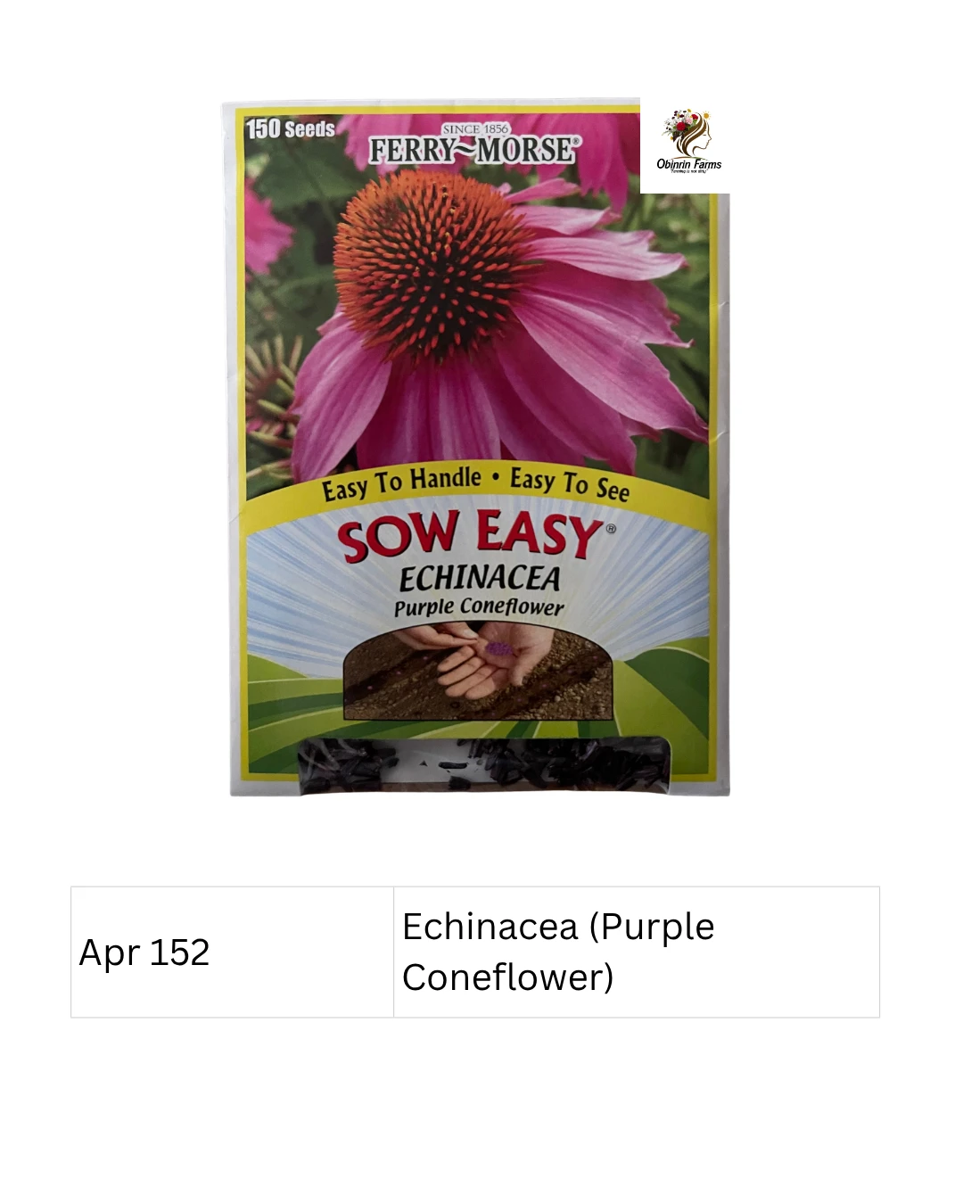 Echinacea (Purple Coneflower) Sow Easy
