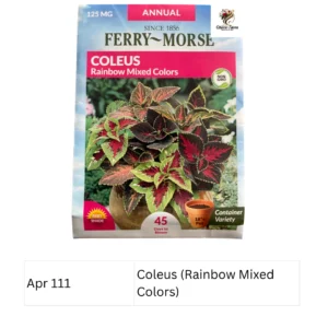 Coleus (Rainbow Mixed Colors) Ferry Morse