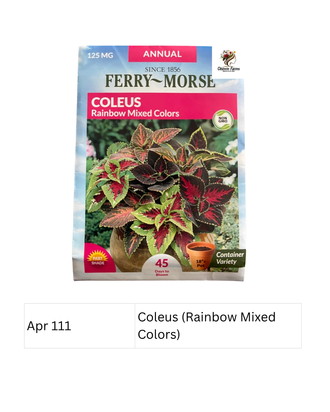 Coleus (Rainbow Mixed Colors) Ferry Morse