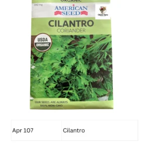Cilantro (Coriander)