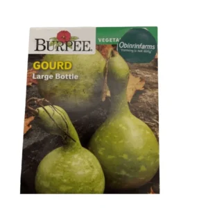 Gourd (Large Bottle)