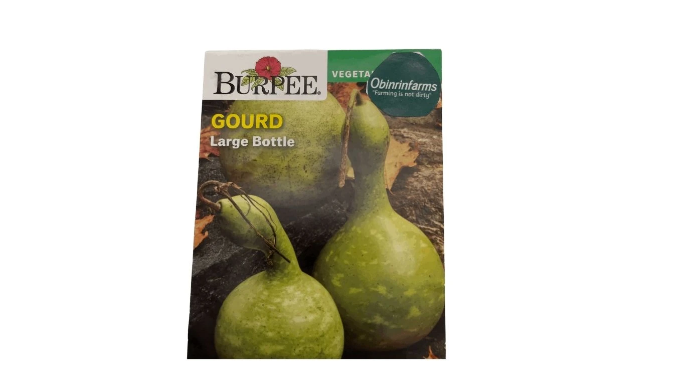 Gourd (Large Bottle)