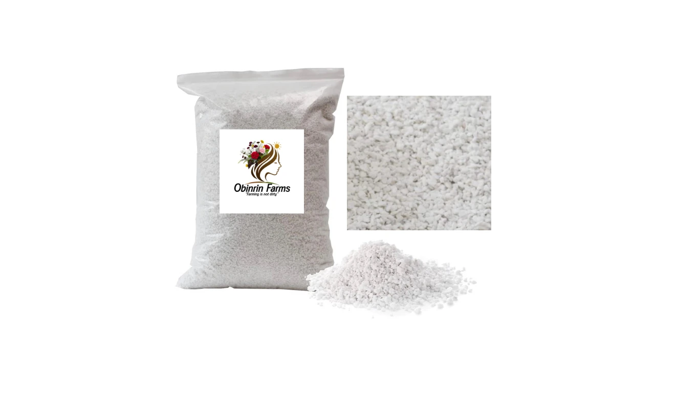 Small-Sized Perlite for Plant Soil (1 kg)