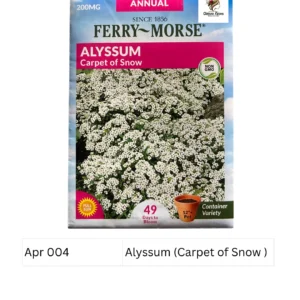 Alyssum (Carpet of Snow ) – Ferry Morse
