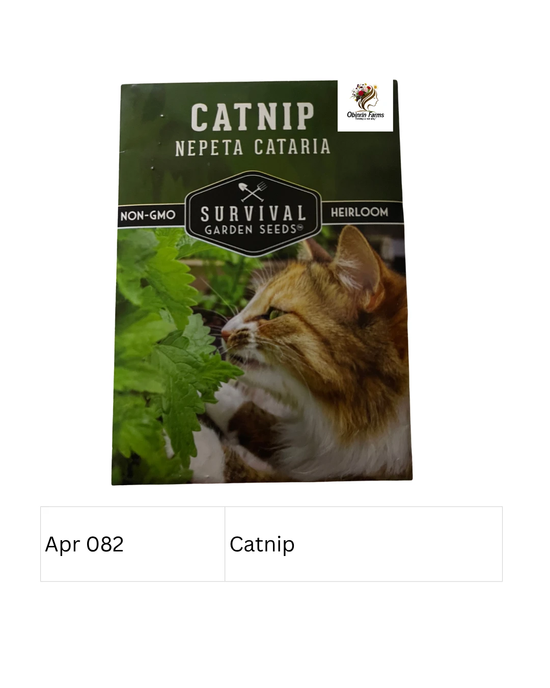 Catnip (Nepeta Cataria)