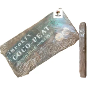 Imported Thick High-Performance Coconut Shell Bricks (1PCS)