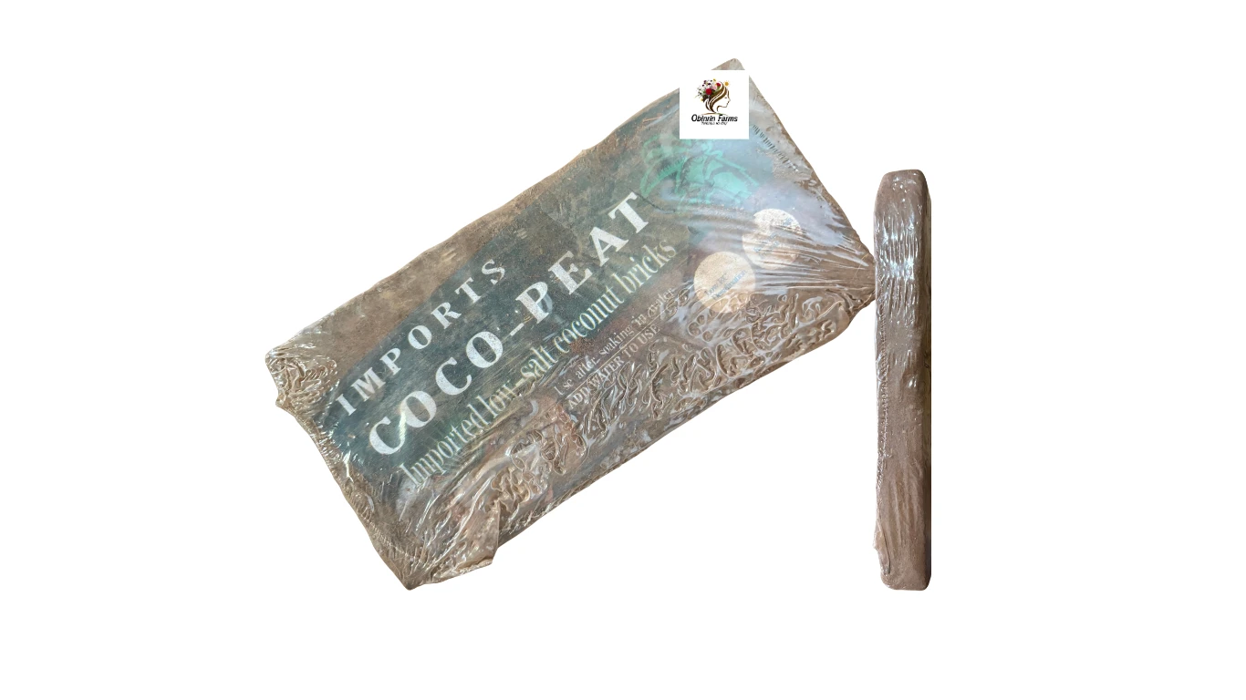 Imported Thick High-Performance Coconut Shell Bricks (1PCS)