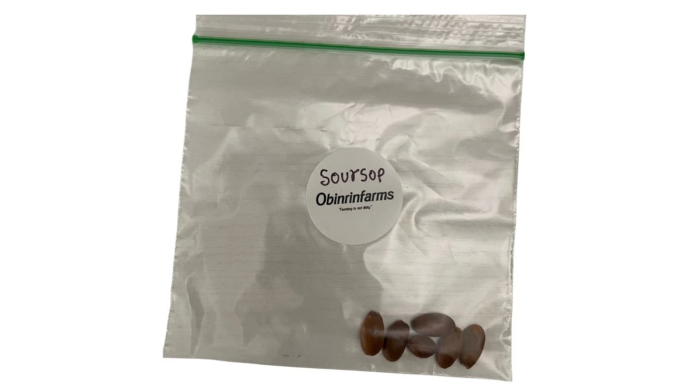 Soursop