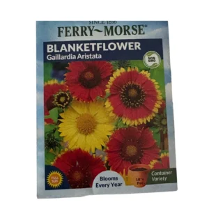 Blanketflower (Gaillardia, Aristata)