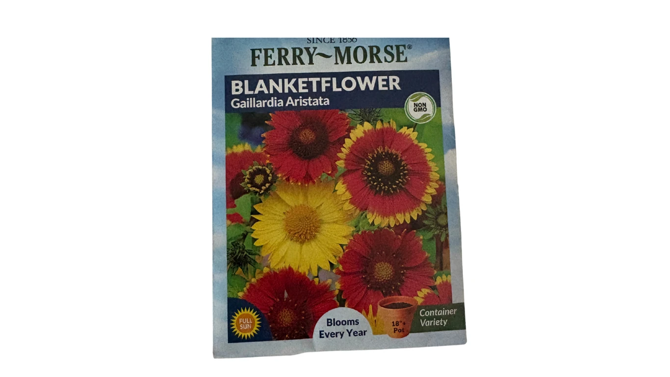 Blanketflower (Gaillardia, Aristata)