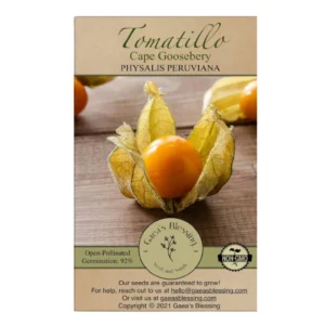 Cape gooseberry tomatillo