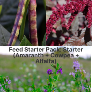 Feed Starter Pack: Starter (Amaranth + Cowpea + Alfalfa)