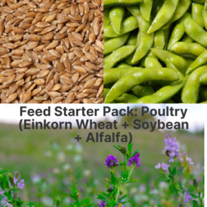 Feed Starter Pack: Poultry (Einkorn Wheat + Soybean + Alfalfa)