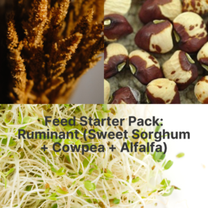Feed Starter Pack: Ruminant (Sweet Sorghum + Cowpea + Alfalfa)