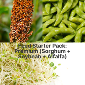 Feed Starter Pack: Premium (Sorghum + Soybean + Alfalfa)