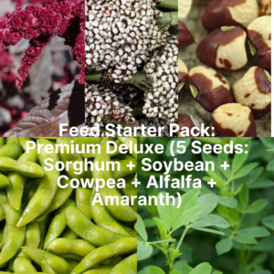 Feed Starter Pack: Premium Deluxe (5 Seeds: Sorghum + Soybean + Cowpea + Alfalfa + Amaranth)
