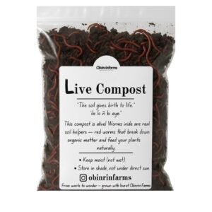 African Night Crawlers (Live Composting Worms) – 1kg